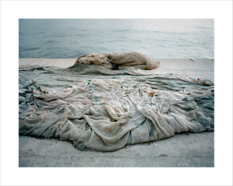 Laetitia Tura, Je suis pas mort, je suis là (titre de la série) : Disparitions – filet. Zarzis, Tunisie, 2012