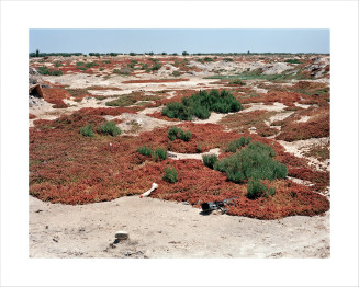Laetitia Tura, Je suis pas mort, je suis là (titre de la série) : Disparitions – Fosse commune. Zarzis, Tunisie, 2012