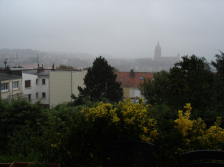 dsc00929.jpg