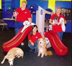 doggie day care